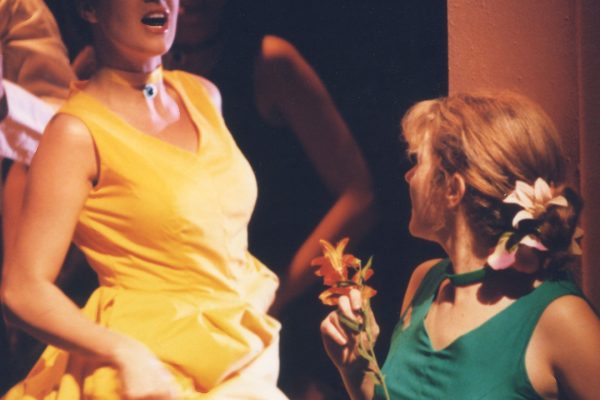 The Shoemaker’s Wondrous Wife